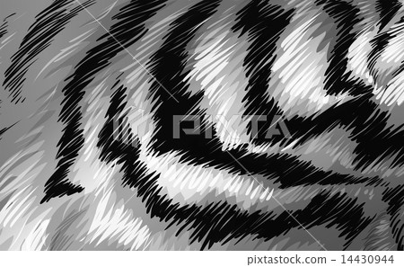 A tiger texture 14430944