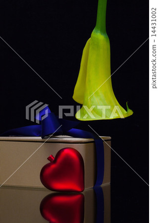 Yellow calla lily and gift on a black  background 14431002