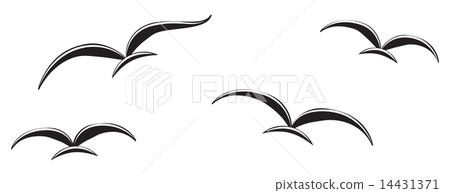 Birds in the sky Birds in the sky 14431371