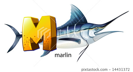 A letter M for marlin A letter M for marlin 14431372
