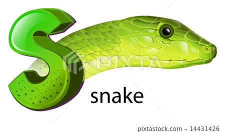 A snake and a letter S A snake and a letter S 14431426