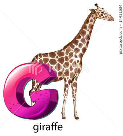 A letter G for giraffe 14431684