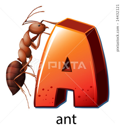 A letter A for ant 14432121