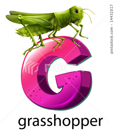 A letter G for grasshopper A letter G for grasshopper 14432817