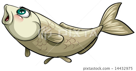 Fish caught by a hook 14432975