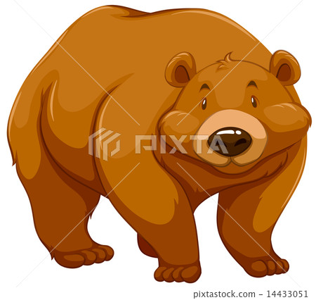 Big brown bear Big brown bear 14433051
