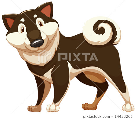 Lovable brown dog 14433265