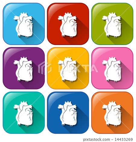 Icons with an internal organ Icons with an internal organ 14433269