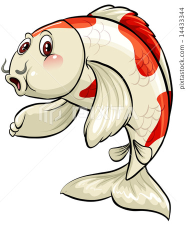A big fish A big fish 14433344