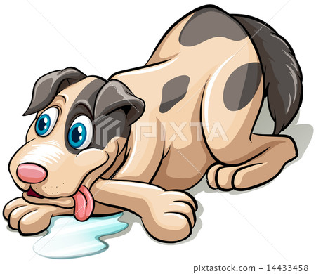 A dog A dog 14433458