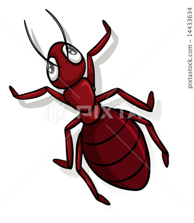 A red ant 14433634
