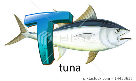 A letter T for tuna A letter T for tuna 14433635