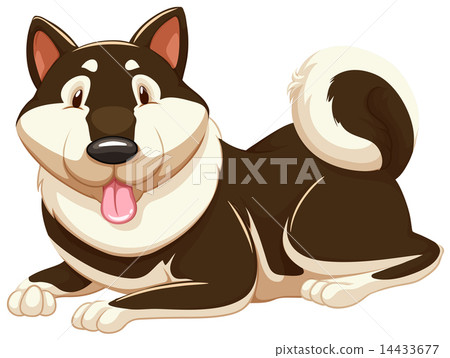 Dog showing his tongue Dog showing his tongue 14433677