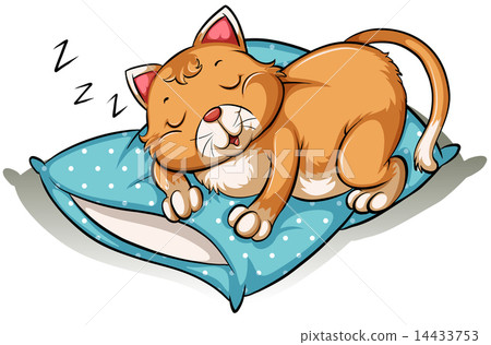 A cat taking a nap A cat taking a nap 14433753