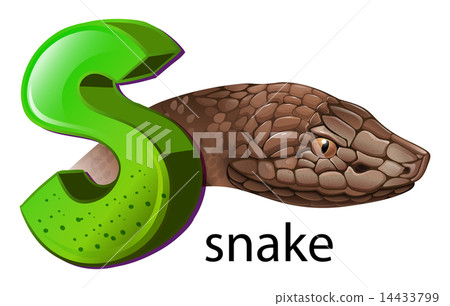 A letter S for snake A letter S for snake 14433799