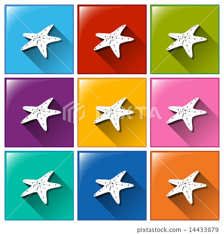 Buttons with starfish Buttons with starfish 14433879