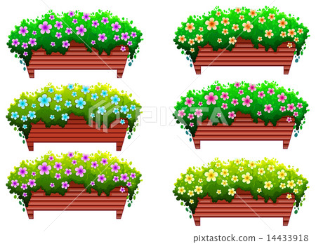 Houseplants with flowers 14433918