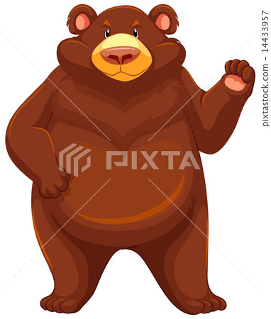 Big brown bear 14433957