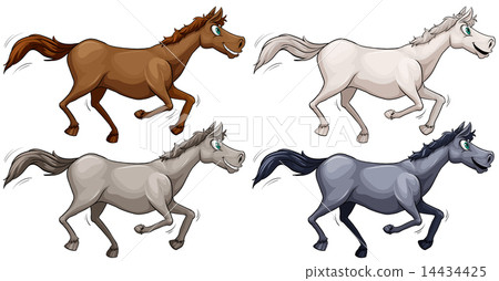 Wild horses Wild horses 14434425