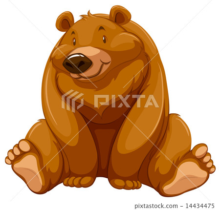 Fat brown bear 14434475