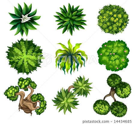 Topview of the different plants Topview of the different plants 14434685