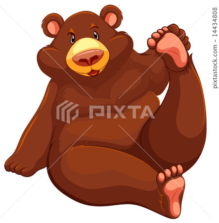 Brown bear sitting down 14434808
