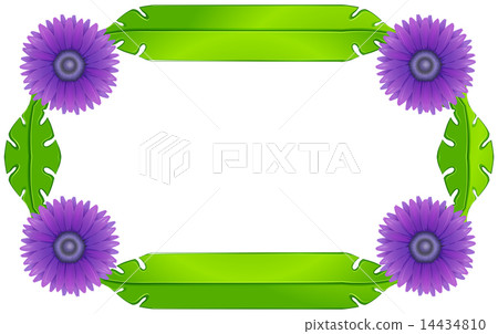 A border design with lavender flowers and green leaves A border design with lavender flowers and green leaves 14434810