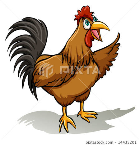A cock A cock 14435201
