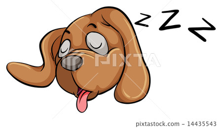 A sleeping dog A sleeping dog 14435543