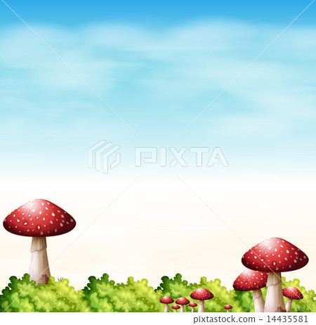 A garden with red mushrooms 14435581