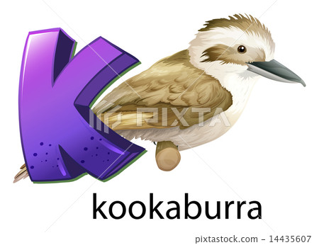 A letter K for kookaburra 14435607