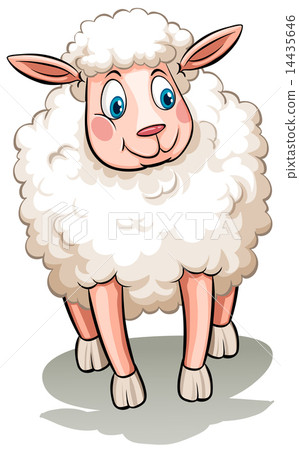 A sheep 14435646