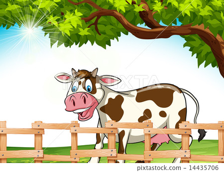 A cow smiling A cow smiling 14435706