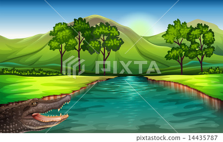 A river with an alligator A river with an alligator 14435787