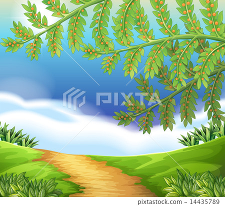 A view of nature A view of nature 14435789