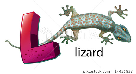 A letter L for lizard 14435838