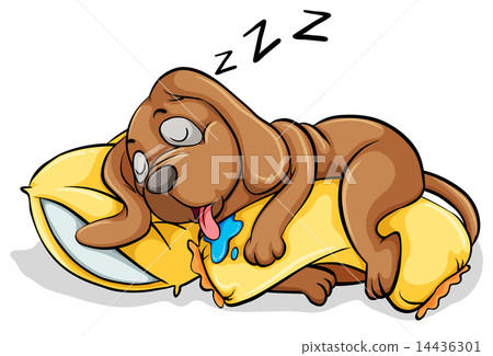 A dog sleeping with a pillow 14436301