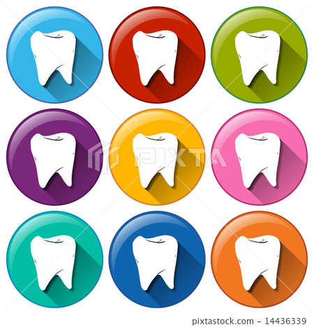 Tooth buttons 14436339