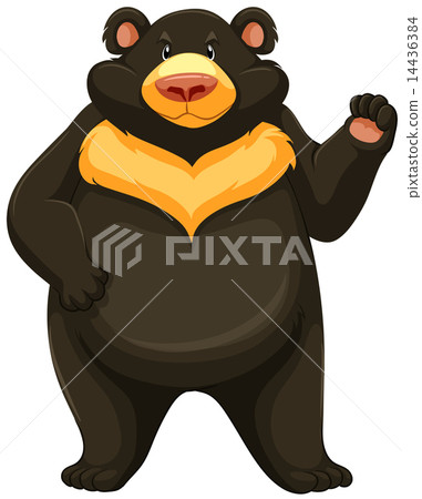 Big angry bear 14436384