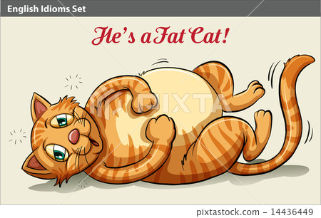 A fat cat A fat cat 14436449