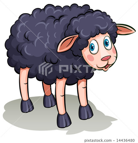 A black sheep A black sheep 14436480