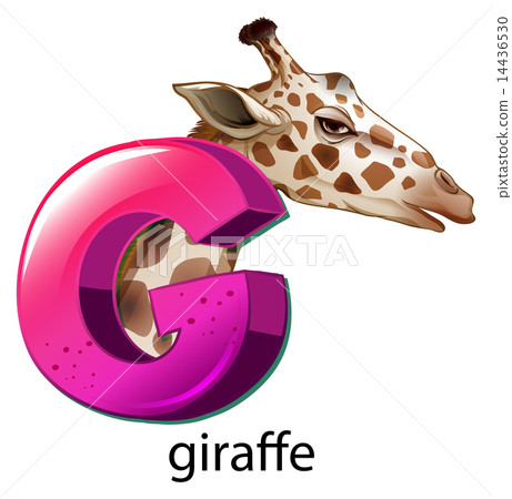 A letter G for giraffe A letter G for giraffe 14436530