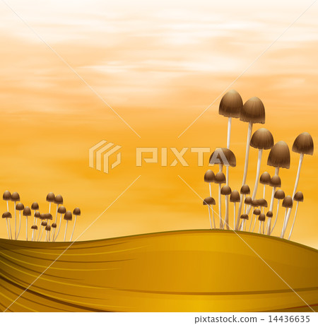 Mushroom plants Mushroom plants 14436635