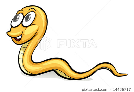 A snake 14436717