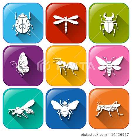 Icons with insects 14436927