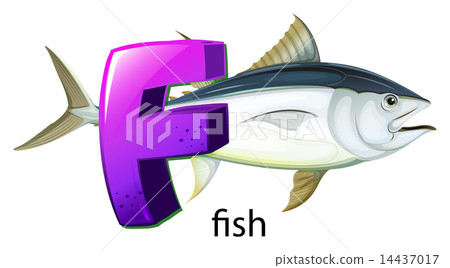 A letter F for fish A letter F for fish 14437017