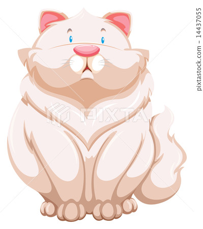 Fat cat 14437055