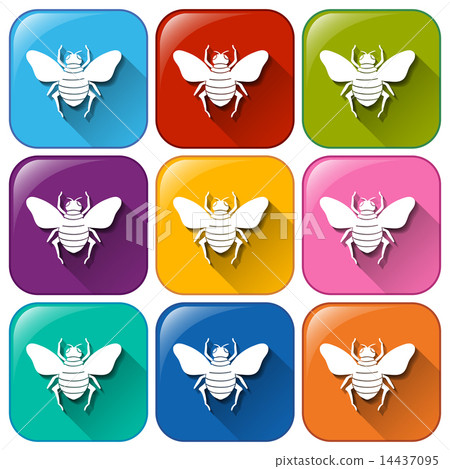 Colourful rounded buttons with insects 14437095