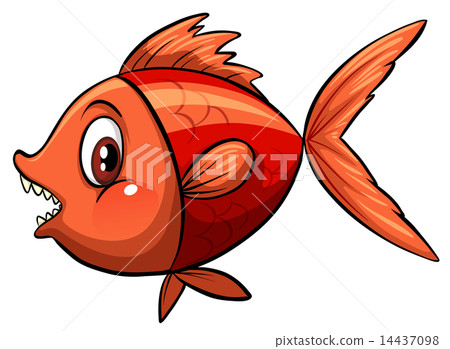 A fish 14437098