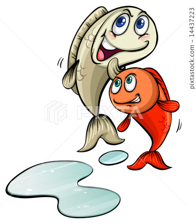 Two fishes 14437223